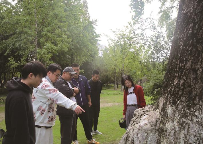 濠河景區(qū)古樹名木養(yǎng)護(hù)正當(dāng)時(shí)